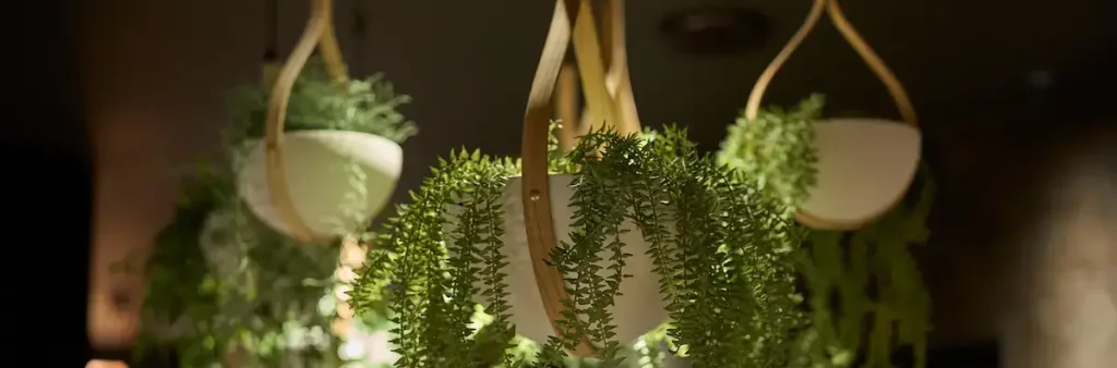 interior design, interior, devon, devon interiors, commercial, commercial design, devon spa, ashton house design, ashburton, interior styling